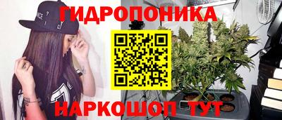 ECSTASY Нарткала