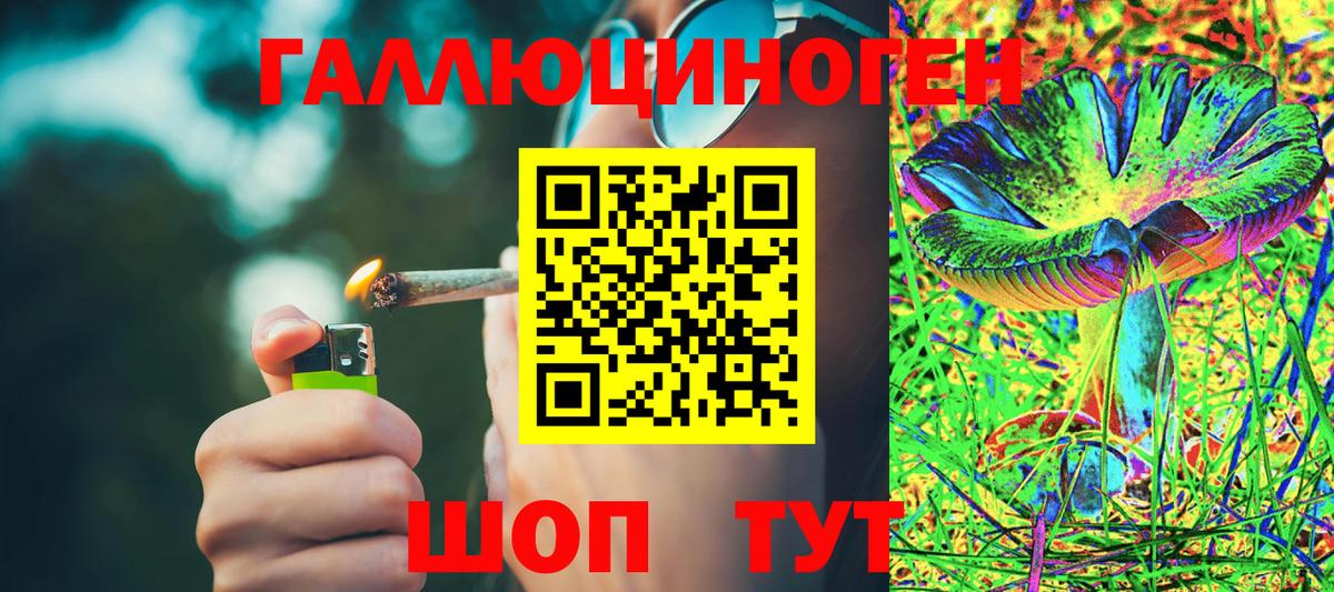 Губаха  Псилоцибиновые грибы GOLDEN TEACHER  Псилоцибиновые грибы Magic Shrooms  Вход с VPN 