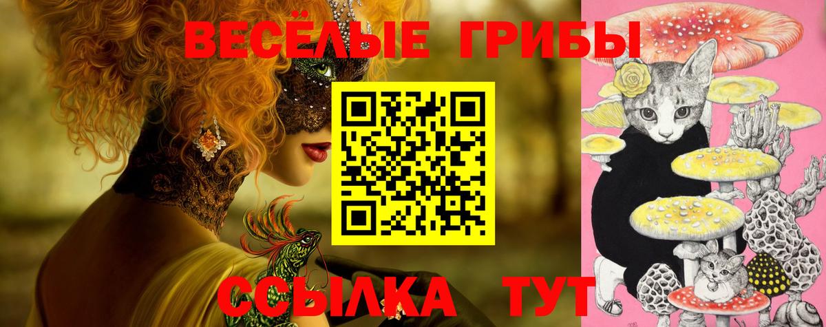 Галлюциногенные грибы MAGIC MUSHROOMS Губаха
